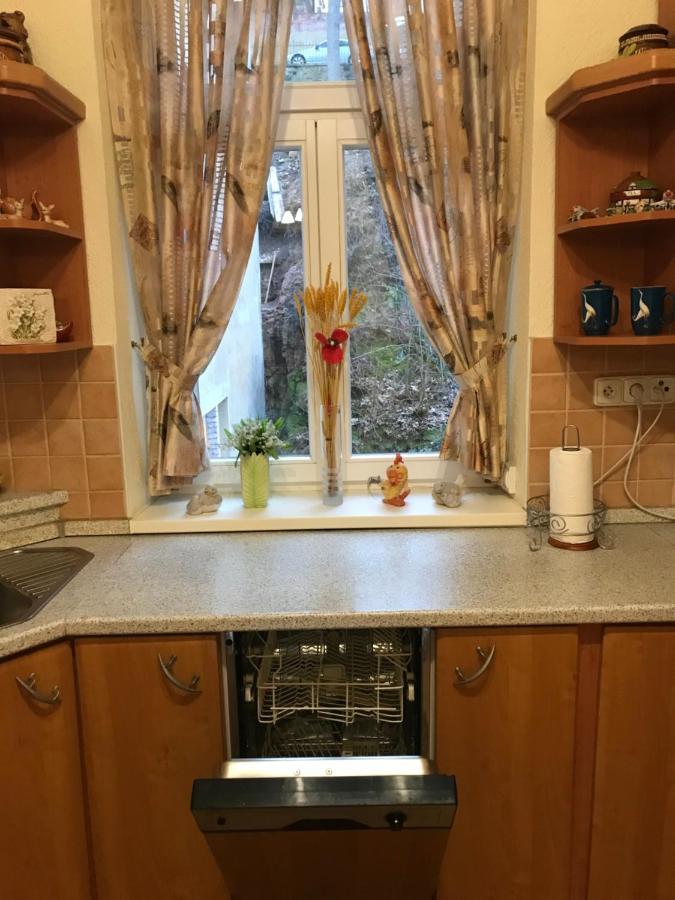 Apartman Na Zahradni 카를로비바리 외부 사진